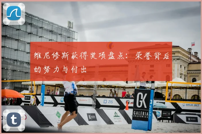 维尼修斯获得奖项盘点:荣誉背后的努力与付出